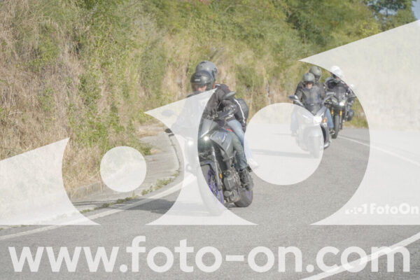 <h1 class="product-title">thumb_FF104872-1</h1>