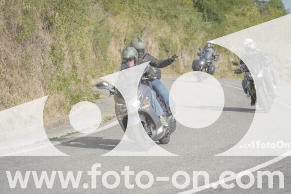 <h1 class="product-title">thumb_FF104874</h1>