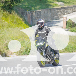 thumb_FF105254