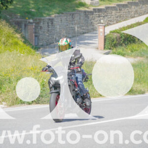 thumb_FF105335
