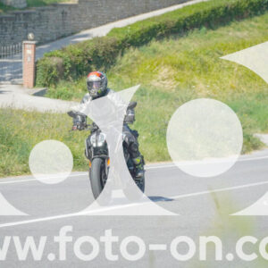 thumb_FF105659