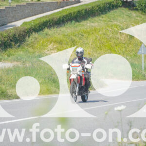 thumb_FF105692