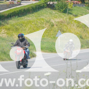thumb_FF105935