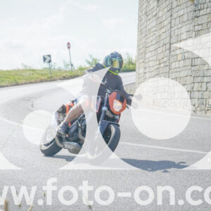 thumb_FF105956