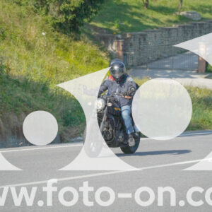 thumb_FF105998