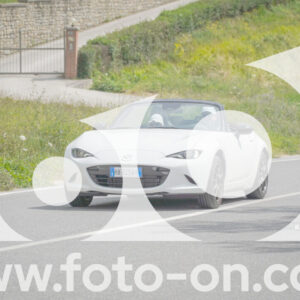 thumb_FF108066