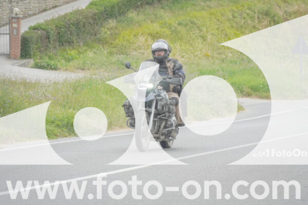 <h1 class="product-title">thumb_FF108091</h1>