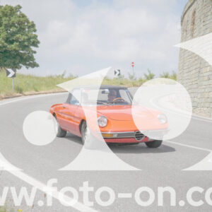 thumb_FF108245