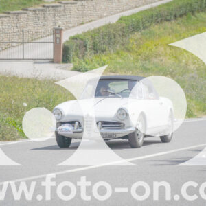 thumb_FF108294