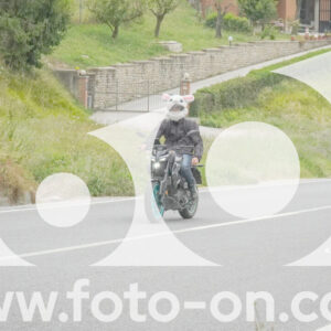 thumb_FF108330