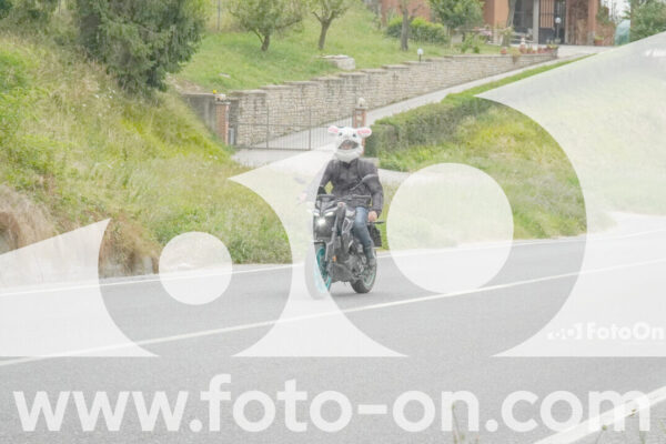 <h1 class="product-title">thumb_FF108330</h1>