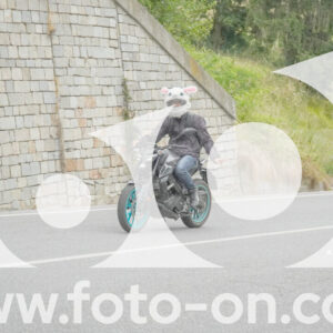 thumb_FF108335