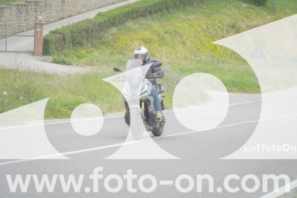 <h1 class="product-title">thumb_FF108981</h1>