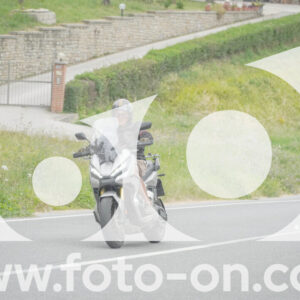 thumb_FF108988