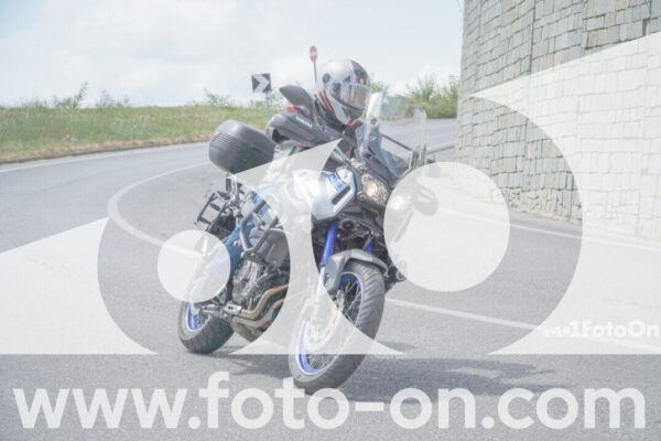 <h1 class="product-title">thumb_FF109162-1</h1>