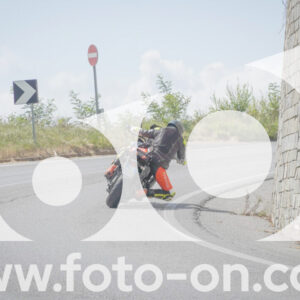 thumb_FF109414
