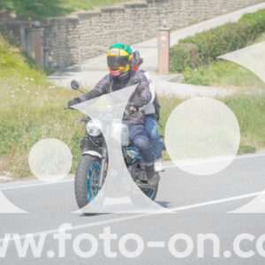 thumb_FF109496