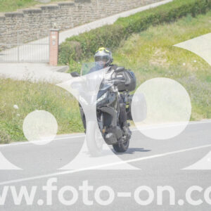 thumb_FF109561-1