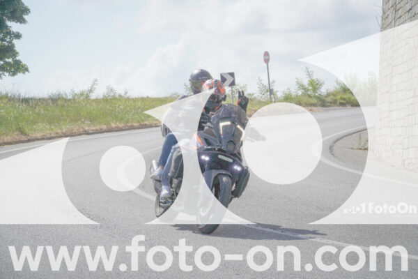 <h1 class="product-title">thumb_FF109753</h1>