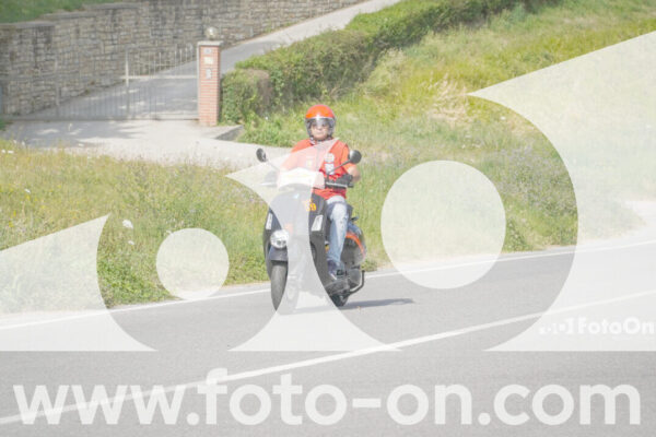 <h1 class="product-title">thumb_FF109833</h1>