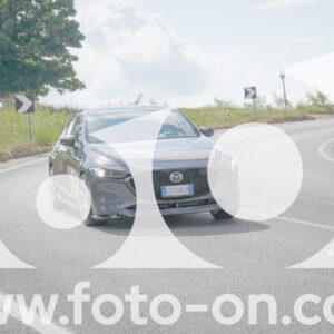 thumb_FF109962