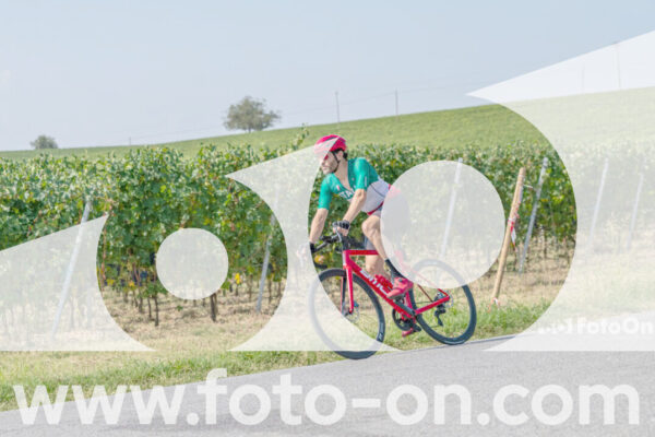 <h1 class="product-title">thumb_2025-08-14-Foto-On-a-Barolo-14</h1>