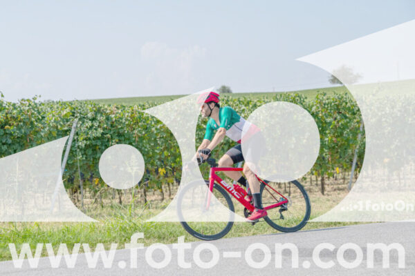 <h1 class="product-title">thumb_2025-08-14-Foto-On-a-Barolo-15</h1>