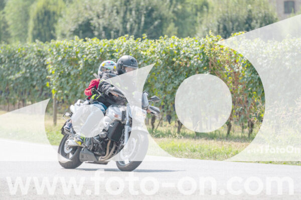 <h1 class="product-title">thumb_2025-08-14-Foto-On-a-Barolo-18</h1>