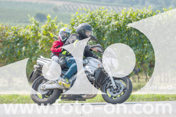 <h1 class="product-title">thumb_2025-08-14-Foto-On-a-Barolo-20</h1>