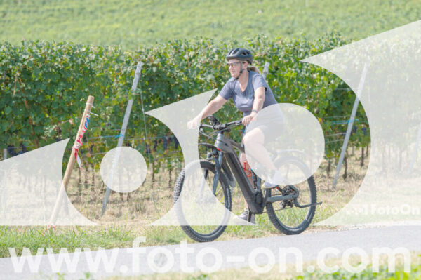 <h1 class="product-title">thumb_2025-08-14-Foto-On-a-Barolo-28</h1>