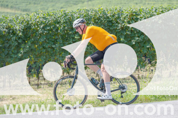 <h1 class="product-title">thumb_2025-08-14-Foto-On-a-Barolo-30</h1>