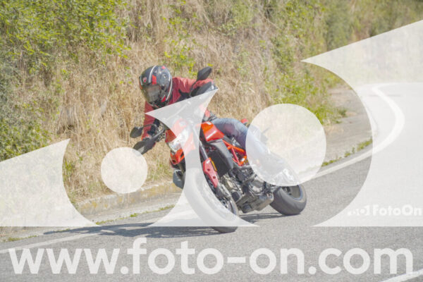 <h1 class="product-title">thumb_FF100095</h1>