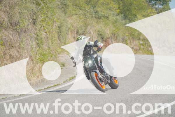<h1 class="product-title">thumb_FF100097</h1>