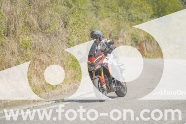 <h1 class="product-title">thumb_FF100117</h1>