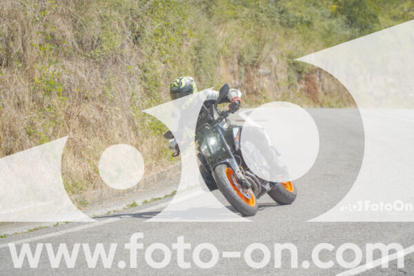 <h1 class="product-title">thumb_FF100119</h1>