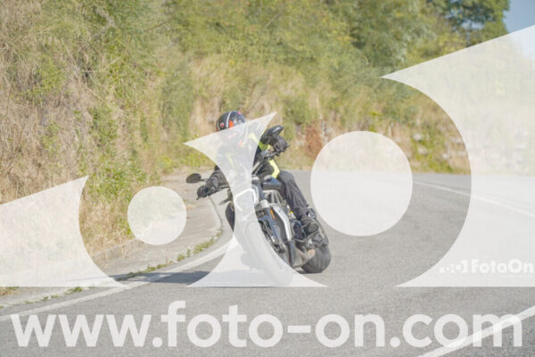 <h1 class="product-title">thumb_FF100120</h1>