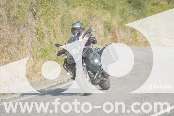<h1 class="product-title">thumb_FF100123</h1>