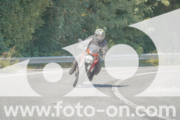 <h1 class="product-title">thumb_FF100236</h1>