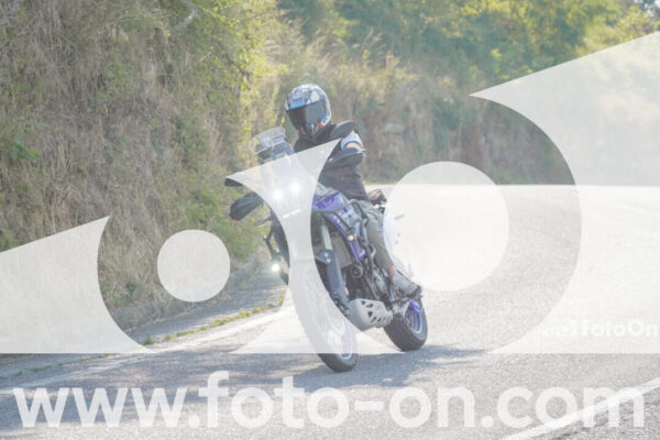 <h1 class="product-title">thumb_FF101849</h1>