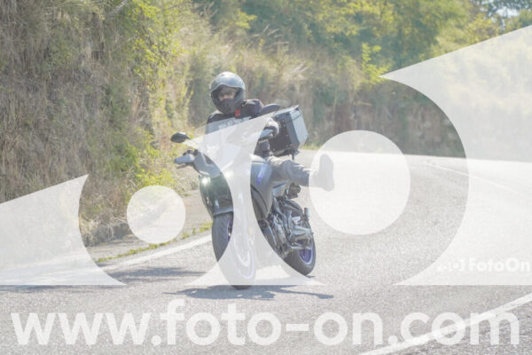 <h1 class="product-title">thumb_FF101890</h1>
