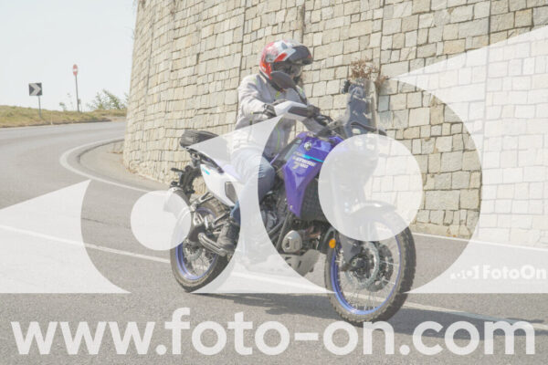 <h1 class="product-title">thumb_FF102603</h1>