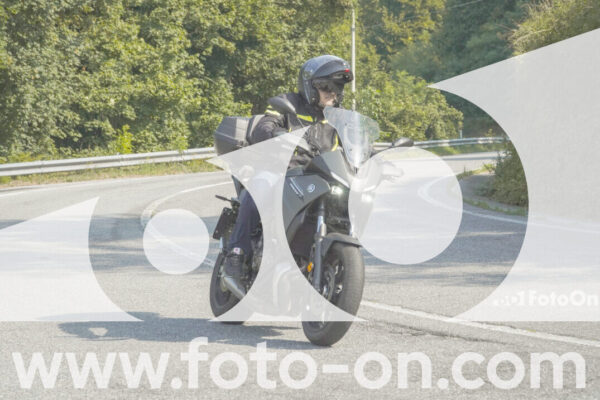 <h1 class="product-title">thumb_FF102678</h1>
