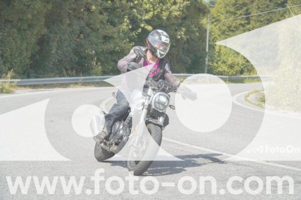 <h1 class="product-title">thumb_FF103837</h1>