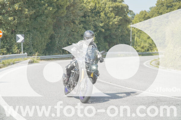 <h1 class="product-title">thumb_FF103876</h1>
