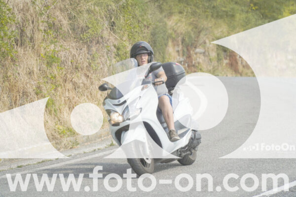 <h1 class="product-title">thumb_FF103878</h1>