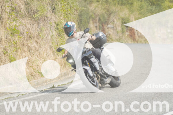 <h1 class="product-title">thumb_FF103879</h1>
