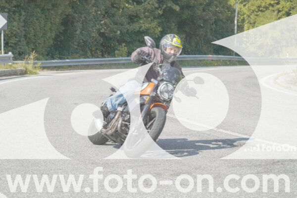 <h1 class="product-title">thumb_FF103886</h1>
