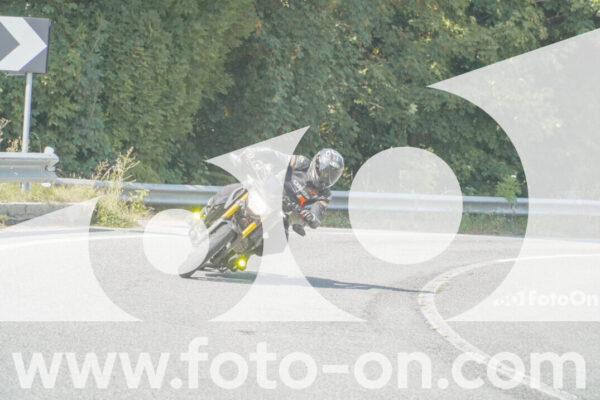 <h1 class="product-title">thumb_FF103888</h1>
