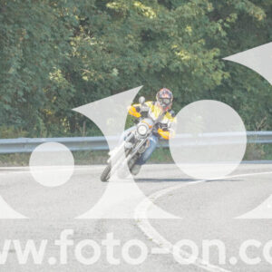 thumb_FF103908