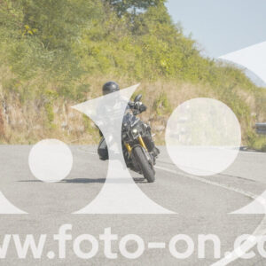 thumb_FF103916